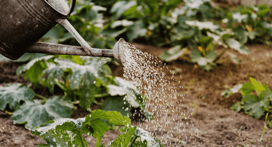 slider-home-irrigazione-mundi-2